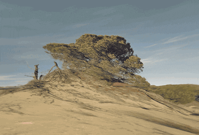 art GIF by Digg