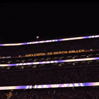 Lsu Football Celebration GIF by LSU Tigers