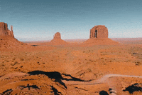 arizona GIF