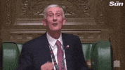 uk parliament speaker of the house lindsay hoyle sir lindsay hoyle GIF