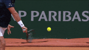 French Open Sport GIF by Roland-Garros