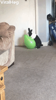 Bunny Pops Balloon