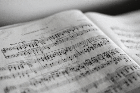 jeremybermanputinbay giphygifmaker giphyattribution GIF