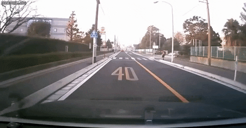 seotor_7 giphyupload GIF