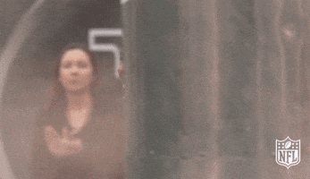 Excited New York Jets GIF by NFL