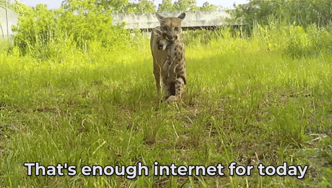 Too Much Mom GIF by U.S. Fish and Wildlife Service