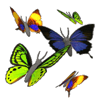 biology STICKER