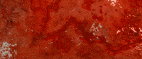 Meat Title GIF