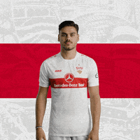 Number 5 Football GIF by VfB Stuttgart