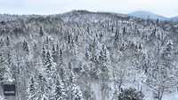 Drone Video Captures Winter Wonderland Over Northern Vermont