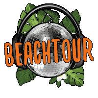 beachtour Sticker by Silent Disco Austria