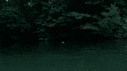 geno segers banshee GIF by Cinemax