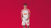 Oh Yeah Yes GIF by RB Leipzig