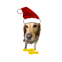 Christmas Gym Sticker by Somatos Domisi