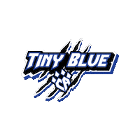 Cheer Athletics Sticker by CA Denver