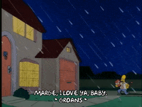 Season 1 Episode 13 GIF by The Simpsons