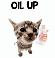 Baby Oil Cat GIF