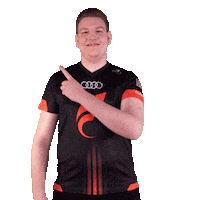 Pointing Fifa20 Sticker by STARK ESPORTS