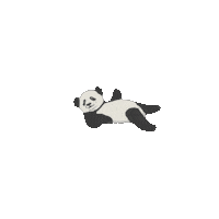 elistorycriativo panda pandinha elistorycriativo pandinha Sticker