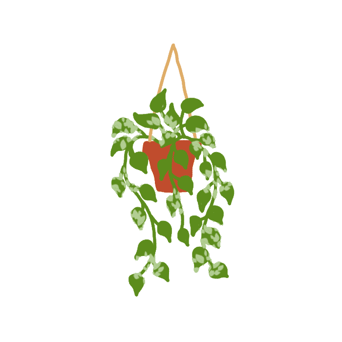 Pothos Sticker
