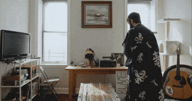 mergerecords cat modelo bob dylan titus GIF