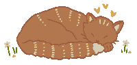 fleencampbell love cat sleepy sleeping Sticker