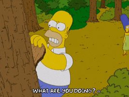 angry homer simpson GIF