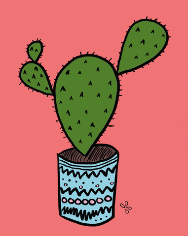 Cactus Mexican GIF by yvoscholz