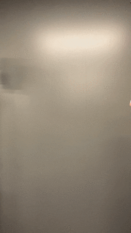 ToddSpeciale giphyupload GIF