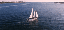 rhode island newport GIF