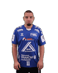 Handball Sticker by HSGSpradow
