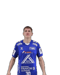 Handball Sticker by HSGSpradow