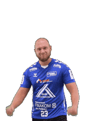 Handball Sticker by HSGSpradow