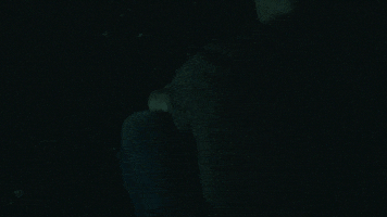 paranormal witness ghosts GIF by SYFY