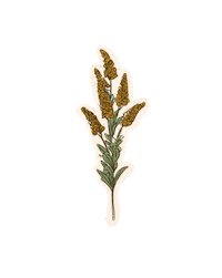 Le Coquelicot Shop Sticker by Tana Rendon
