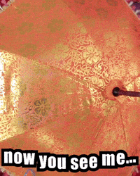 Watch Me Fun GIF by Crissy Conner