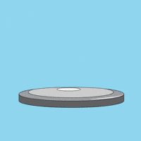 Penguin What GIF by Pudgy Penguins