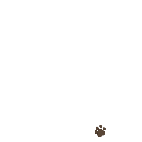Cat Love Sticker