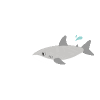 Shark Sticker by ZippyPaws