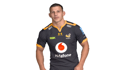 Rugby Sticker by Wasps