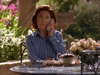 season 2 netflix GIF by Gilmore Girls 