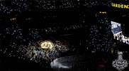 ice hockey sport GIF by NHL