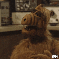 Confused Tv Show GIF by Laff