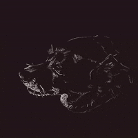 jordanphillipsart dog yawn hand drawn rotoscoping GIF