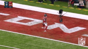 atlanta falcons football GIF by NFL