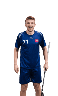 slovenskyzvazflorbalu slovakia florbal slovak floorball szfb Sticker