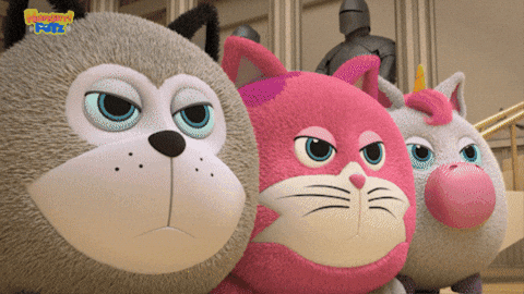 Angry Cat GIF by HangryPetz