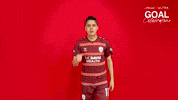 Cele Republicfc GIF by Sacramento Republic FC