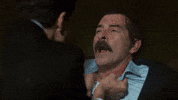 Arasbulutiynemli Iskender GIF by Ay Yapım