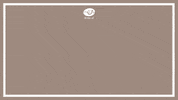 GIF by Bon